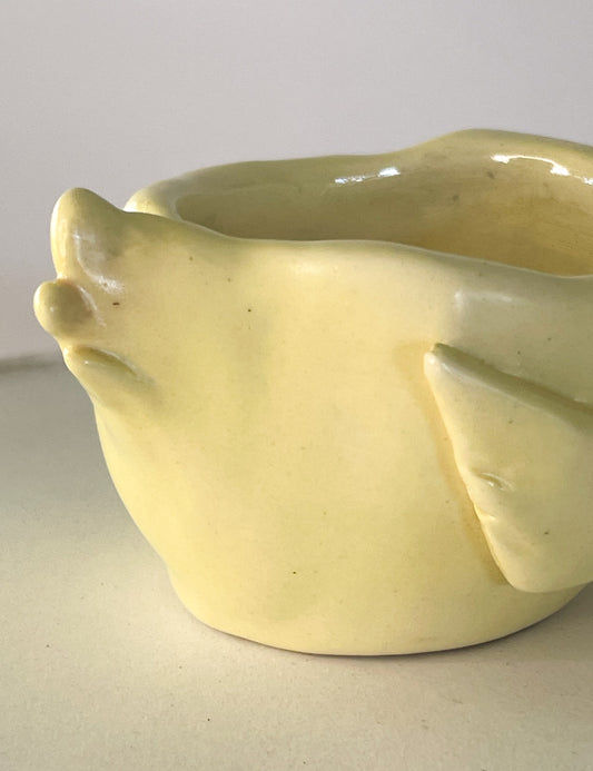 Mezcalerito de bebé patito