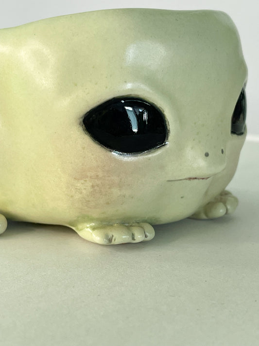 Mezcalerito de bebé rana con pompis